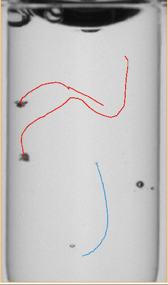 WILCO AVI picture of Autoinjector inspection 1