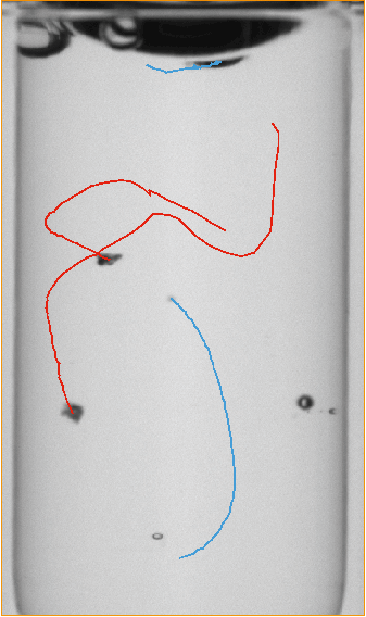 WILCO AVI picture of Autoinjector inspection 2