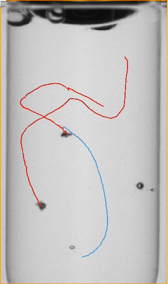 WILCO AVI picture of Autoinjector inspection 3