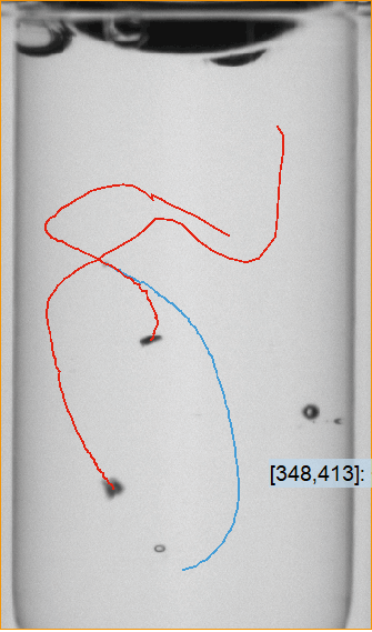 WILCO AVI picture of Autoinjector inspection 4