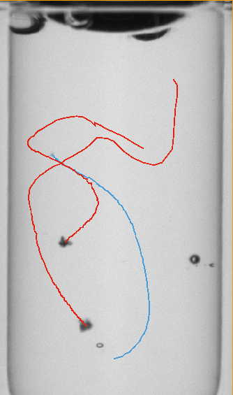 WILCO AVI picture of Autoinjector inspection 5