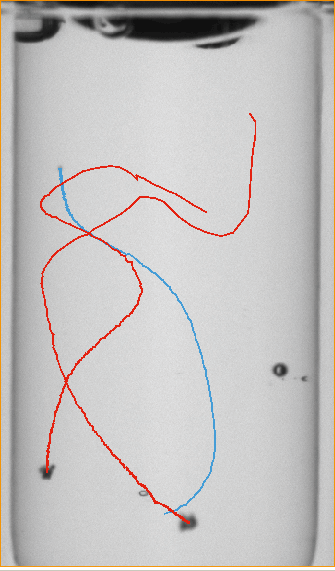 WILCO AVI picture of Autoinjector inspection 6